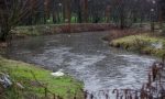 Valle Olona, nuovo progetto per riscoprirne la bellezza