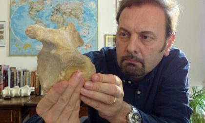 Il più antico dinosauro carnivoro trovato in provincia di Varese