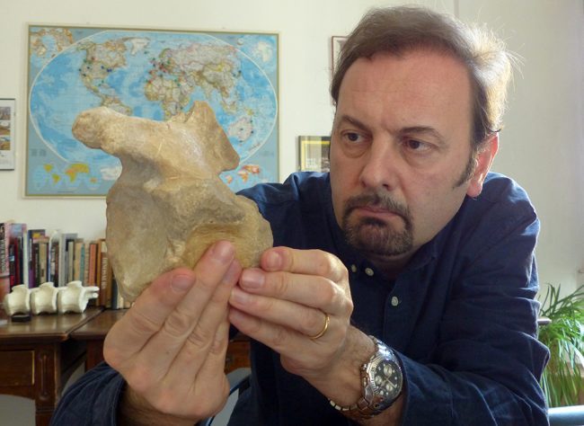 Il più antico dinosauro carnivoro trovato in provincia di Varese