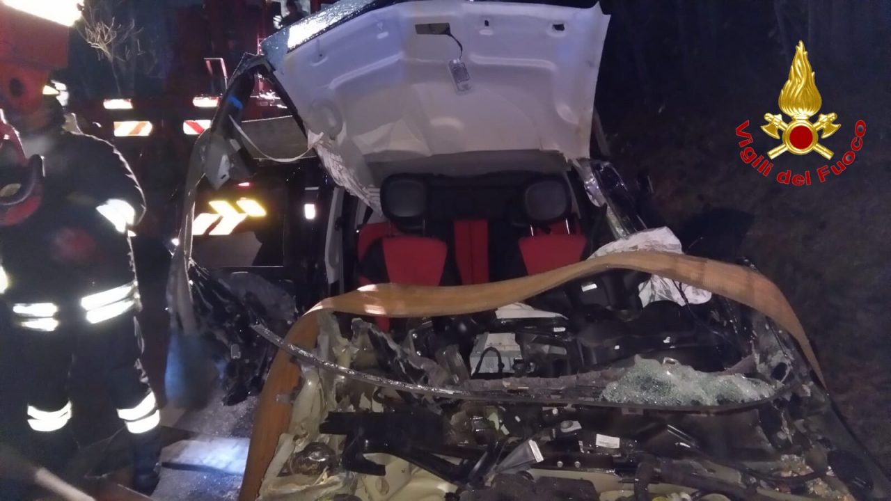 Auto esce di strada e sbatte contro alcune piante VIDEO e FOTO