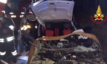 Auto esce di strada e sbatte contro alcune piante VIDEO e FOTO
