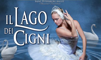 Il Lago dei Cigni approda al Teatro di Varese VIDEO