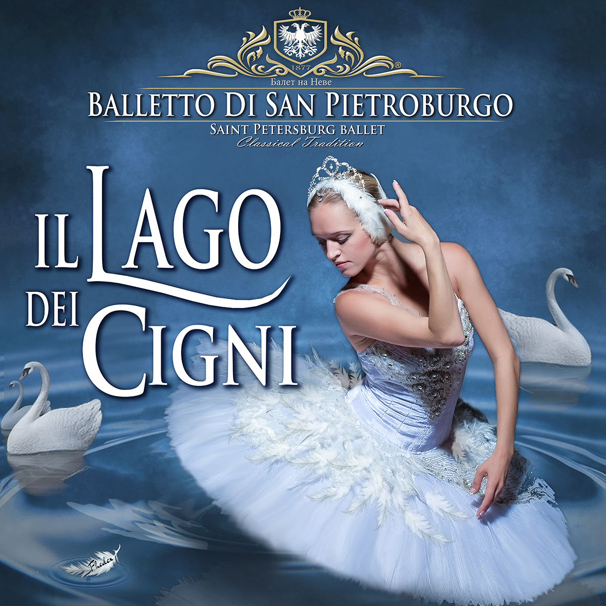 Il Lago dei Cigni approda al Teatro di Varese VIDEO