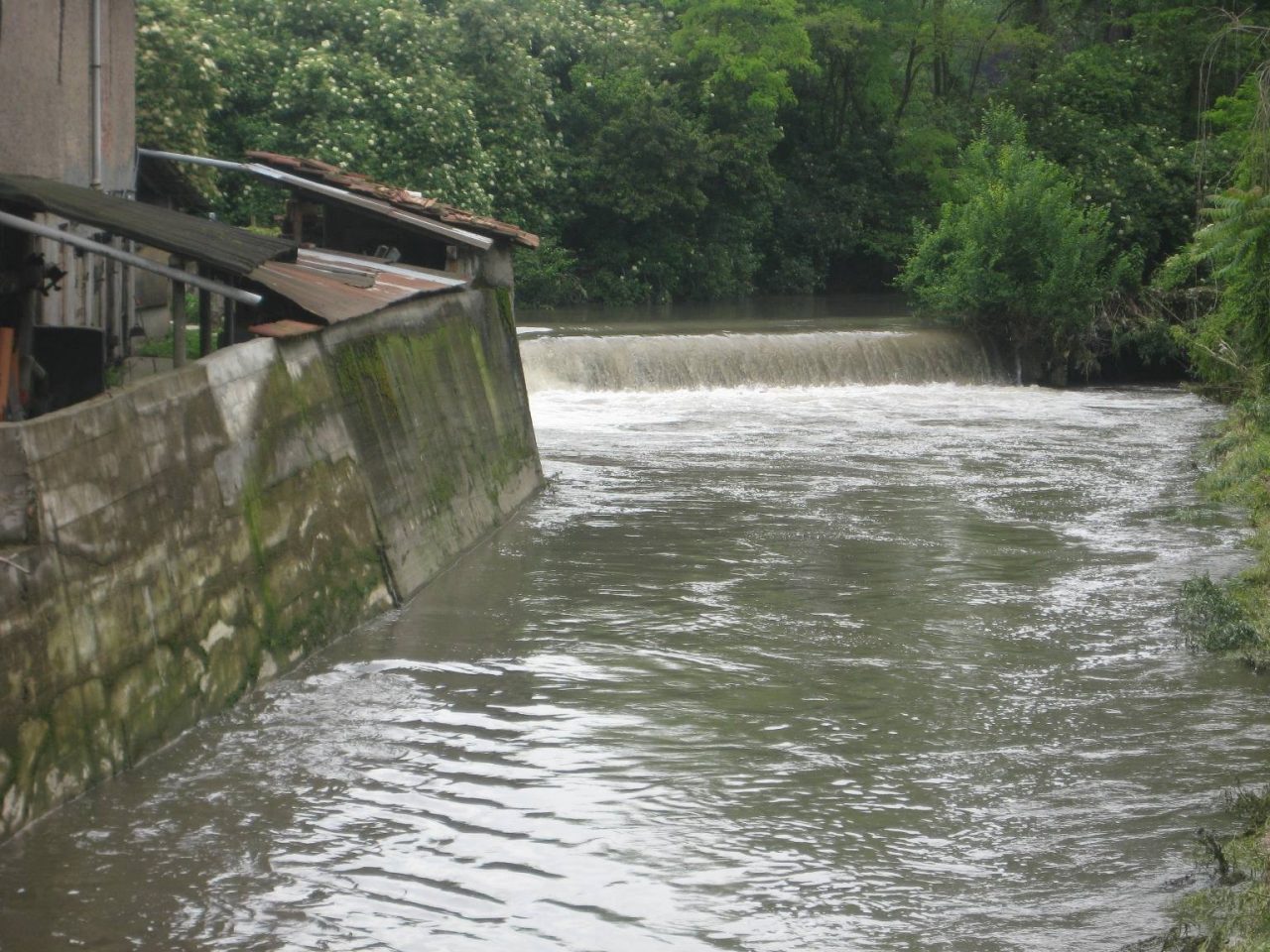 Piscine chiuse? Quattro bracciate nell’Olona (in muta da sub)