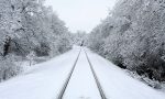 Neve, treni bloccati, alberi caduti e disagi al traffico