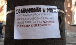 Opposizioni contro il sindaco a Saronno: "Verde e alberi abbandonati, basta annunci"