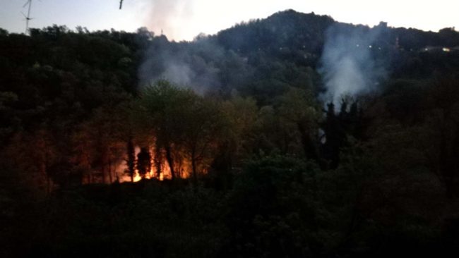 Incendi boschivi è allerta rossa da oggi fino a martedì