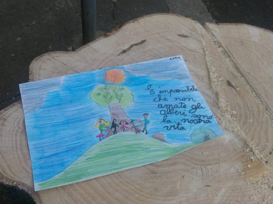 Alberi abbattuti in via Roma a Saronno, “delitto biologico”