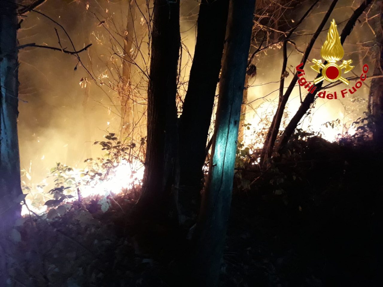 Ancora un incendio nei boschi del Varesotto FOTO