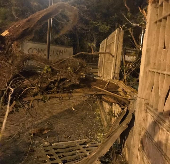 Vento forte, danni anche a Buscate e Turbigo FOTO