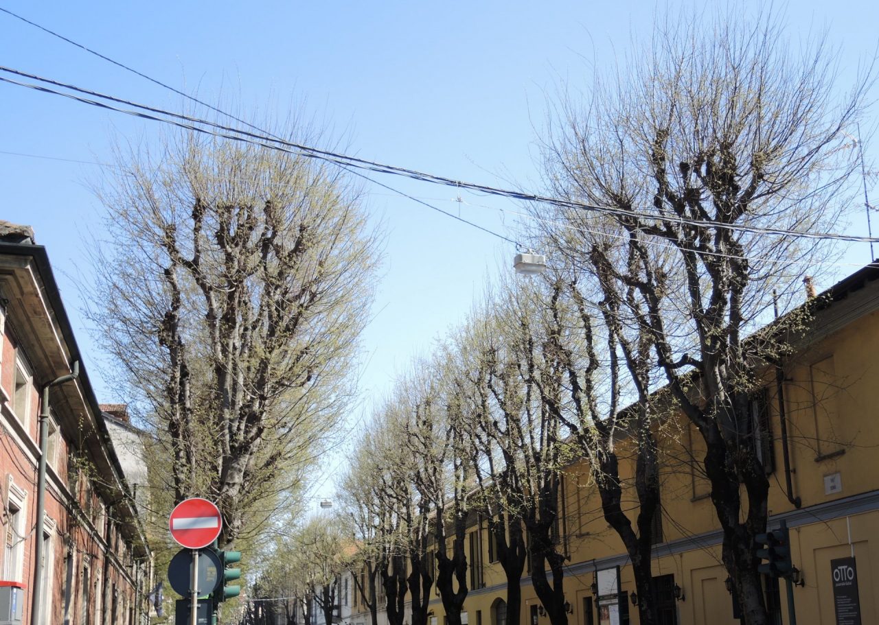 Il Comitato Salva Via Roma scrive al sindaco di Saronno