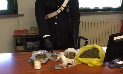 Denunciato per spaccio di sostanze stupefacenti a Carnago