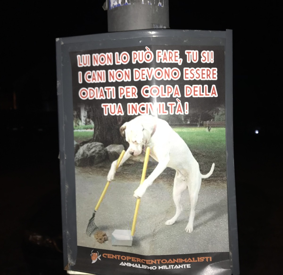 Volantini contro i padroni di cani incivili a Saronno e Turate FOTO