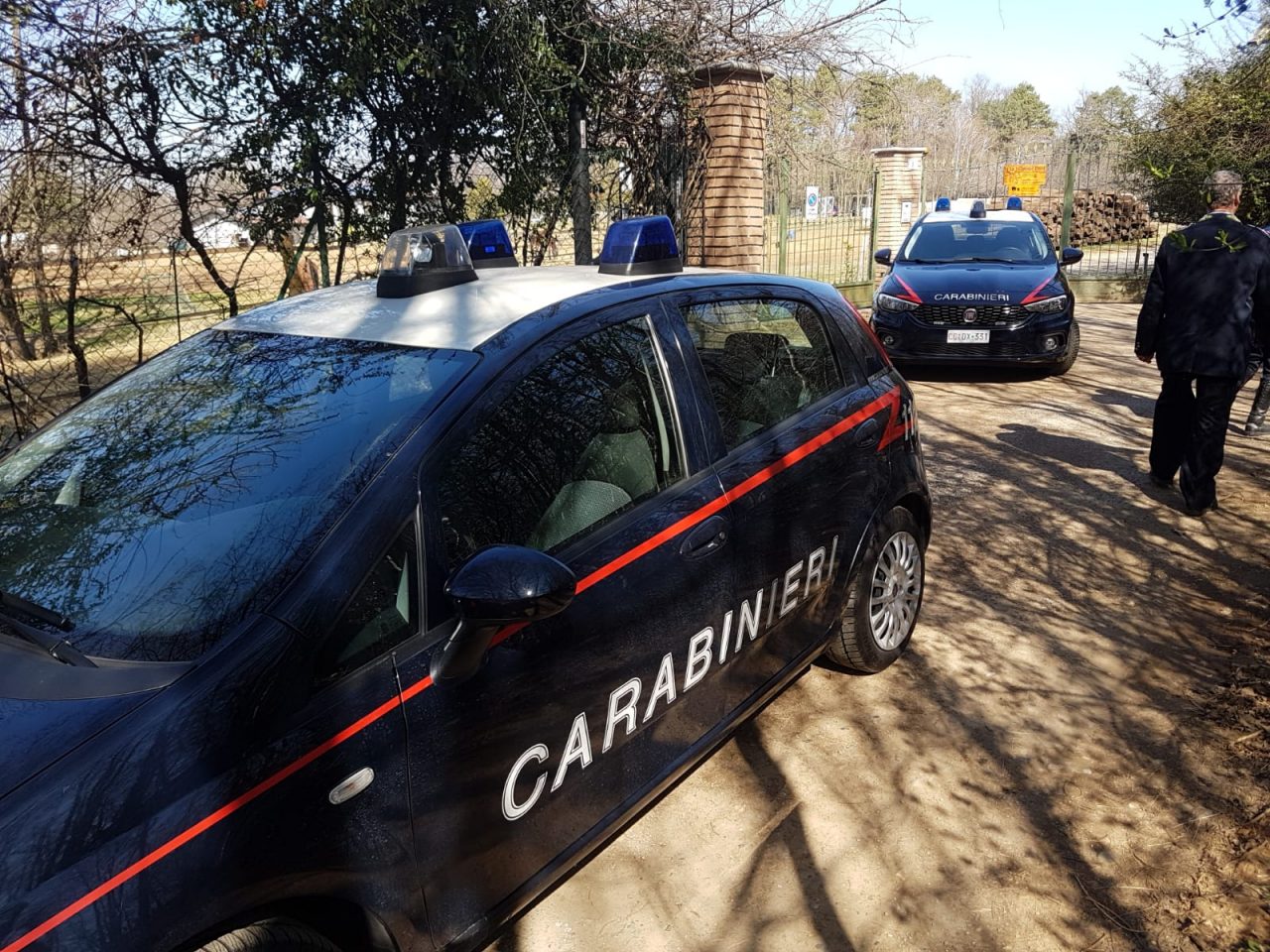 Fugge con la droga al controllo dei Carabinieri: arrestato