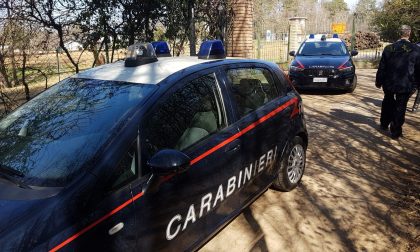 Trovato cadavere in un bosco di Venegono Superiore