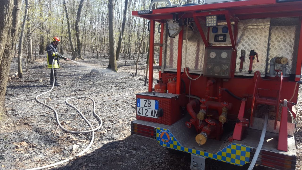 Incendio nei boschi della Maddalena – FOTO E VIDEO