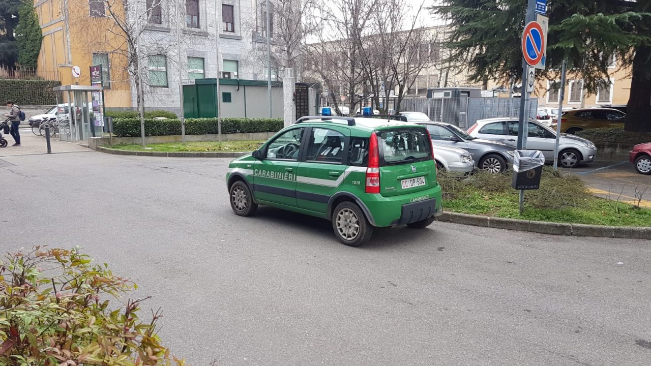 Via Roma, Carabinieri forestali in Comune