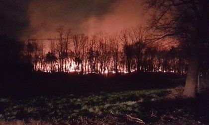 Incendi nei boschi del Tradatese: parla il Sottosegretario del Ministero dell'Interno