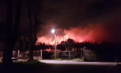 Mega  incendio ad Abbiate in fiamme il Parco Pineta
