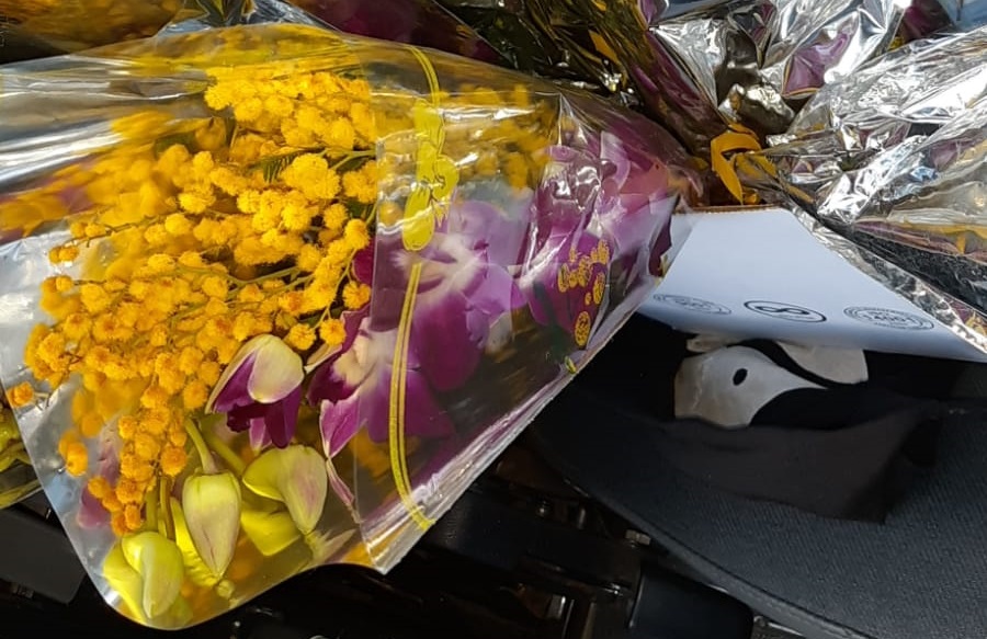 Vigili sequestrano mimose e il Comune le regala alle donne