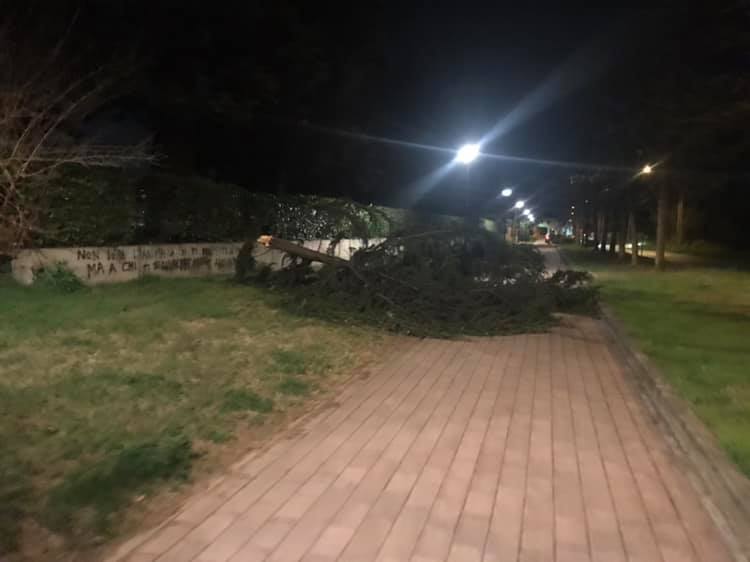 Danni per il forte vento anche a Inveruno e Cuggiono