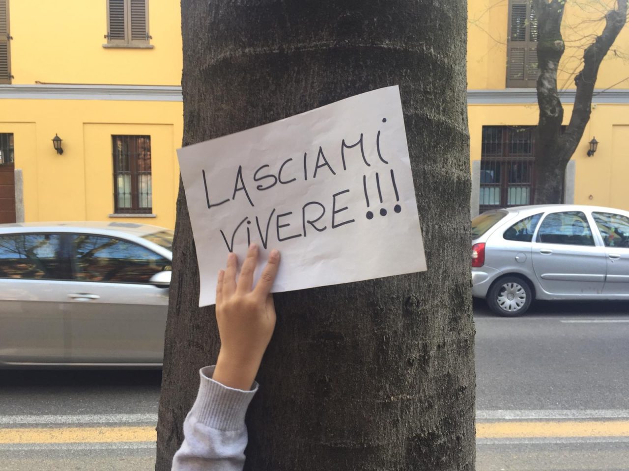 Il Comitato Salva via Roma scrive ai saronnesi: “I cittadini ascoltati solo dal Tar”