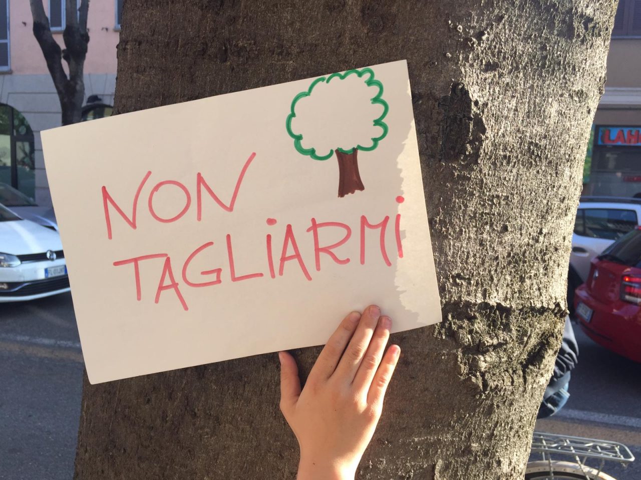 Nuovo progetto, il comitato Salvaviaroma: “Accolte le indicazioni fornite, dimostrazione che le cose si possono cambiare”