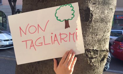 Obiettivo Saronno: "Verde priorità per il benessere cittadino, da via Roma all'Ex Parma"