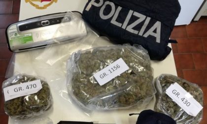 Spaccio in provincia, albanese arrestato a Castiglione con due chili di marijuana