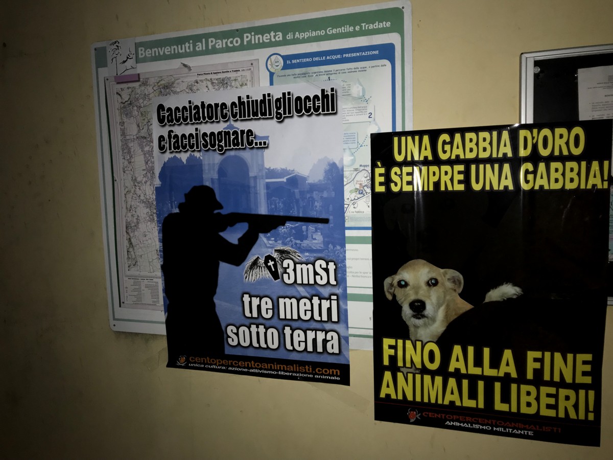 Strage di cinghiali nel parco Pineta: azione notturna dei militanti