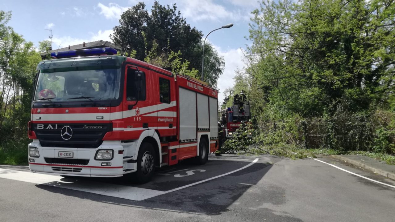 Pompieri intervengono per prevenire la caduta degli alberi