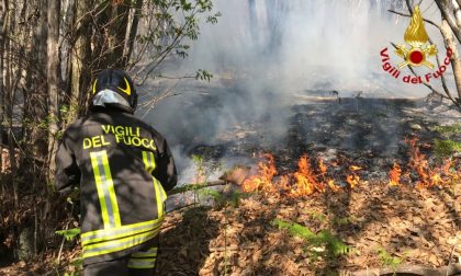 A fuoco sei ettari di bosco a Dumenza, pompieri in azione FOTO
