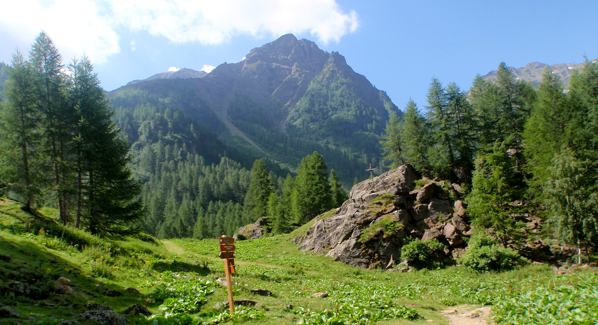 Escursioni gratuite con le guide alpine nelle bellezze naturali lombarde