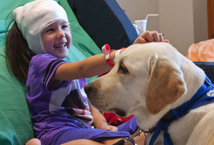 Corso di pet therapy al Parco delle Groane