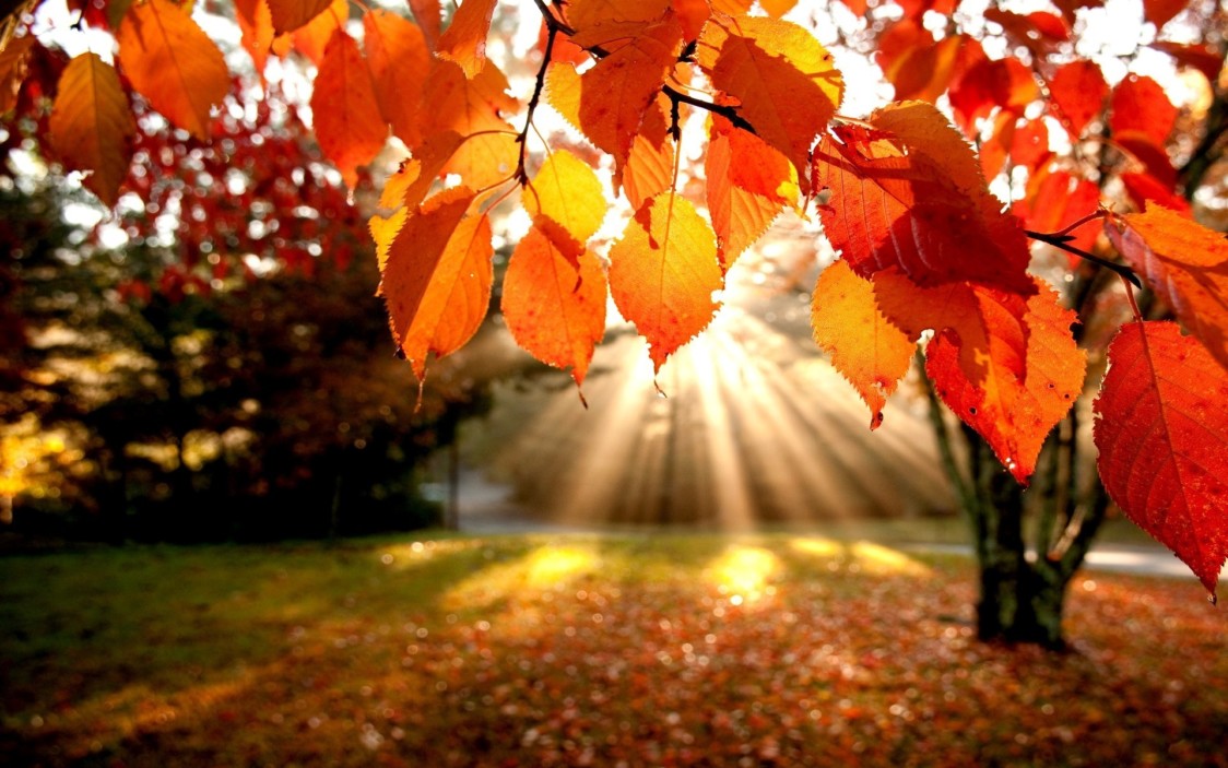 A Castiglione Olona aspettando l’Equinozio d’autunno