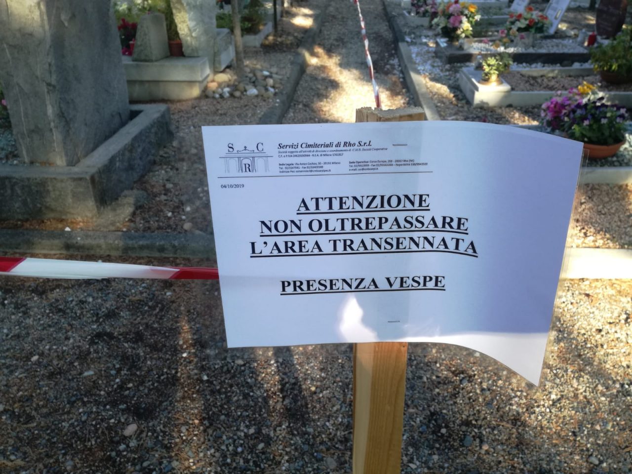 Pericolo vespe al cimitero