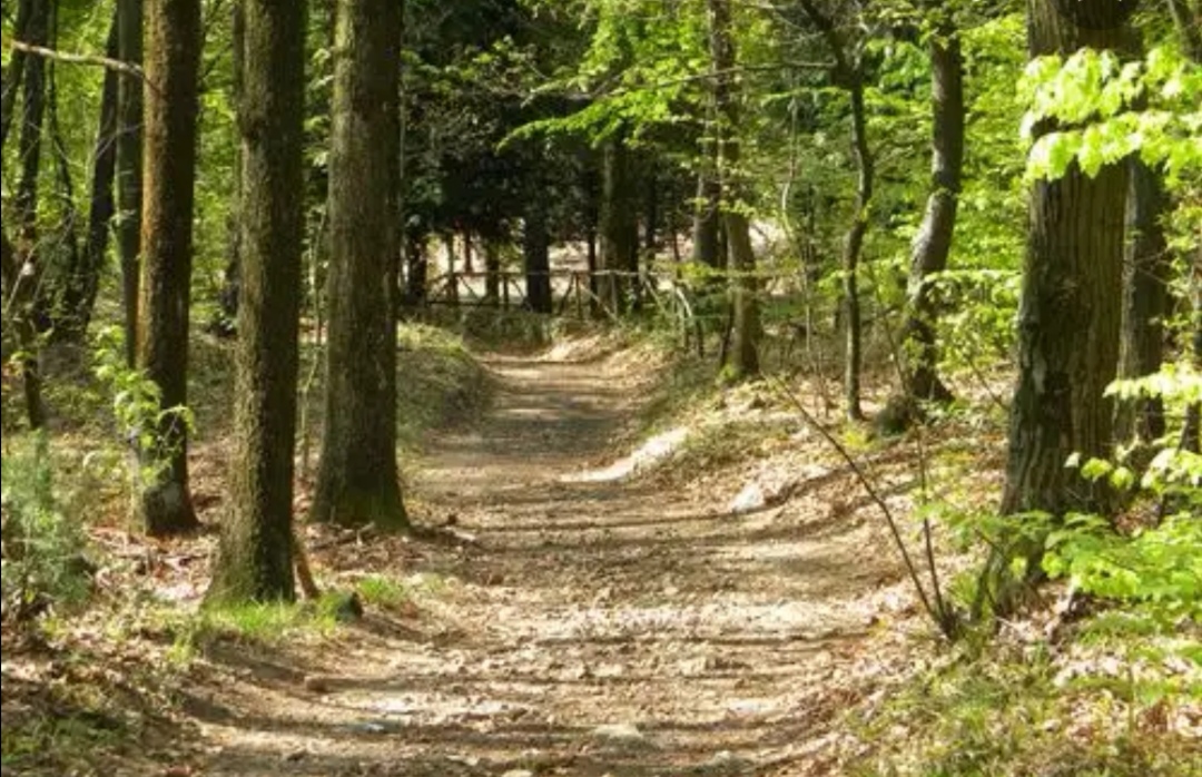 Parco Pineta: il centro didattico riapre su prenotazione