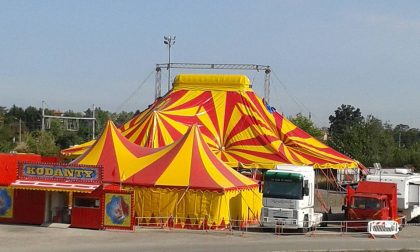Vandali contro il Mexican Circus a Rovello, gli animalisti: "Non siamo stati noi"