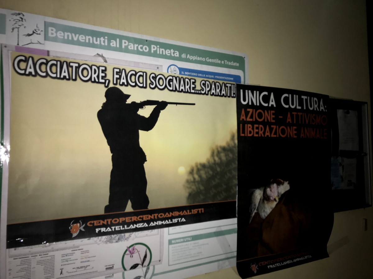 Animalisti ancora contro il Parco Pineta: “Uccidono i cinghiali”