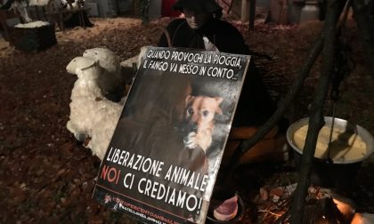 Sagra di Sant'Antonio Abate: iniziano le proteste degli animalisti