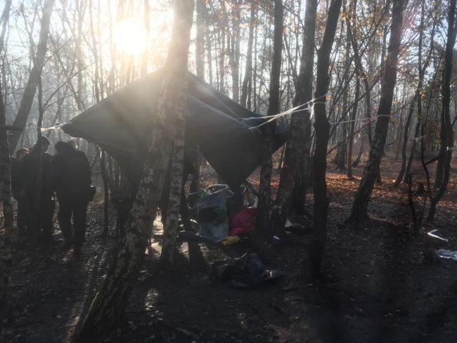 Nuovo blitz al Parco delle Groane: due arresti, droga e armi sequestrate