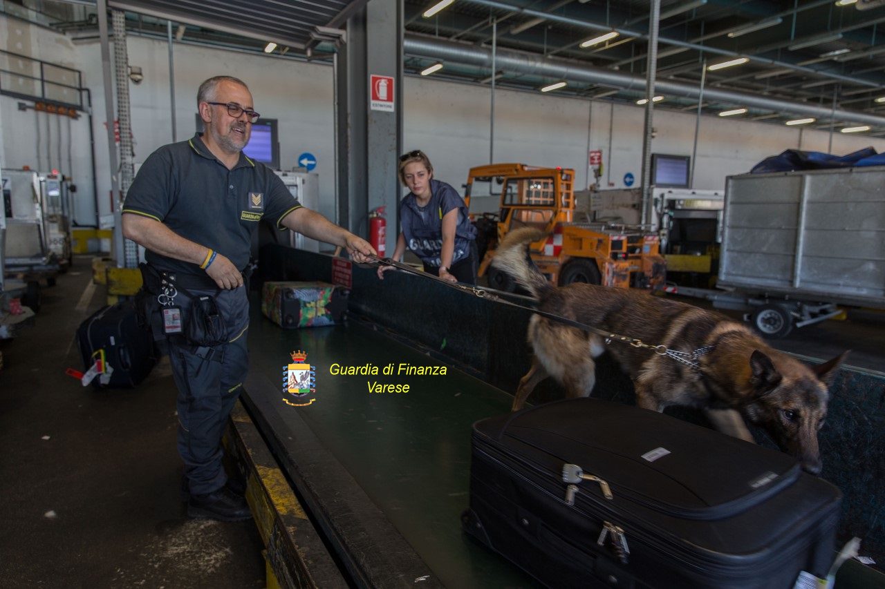Maga portoghese arrestata a Malpensa: aveva con sè 233 ovuli di cocaina