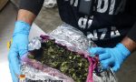 Traffico di droga, sequestrati a Malpensa 9 quintali di stupefacenti e 4000 farmaci