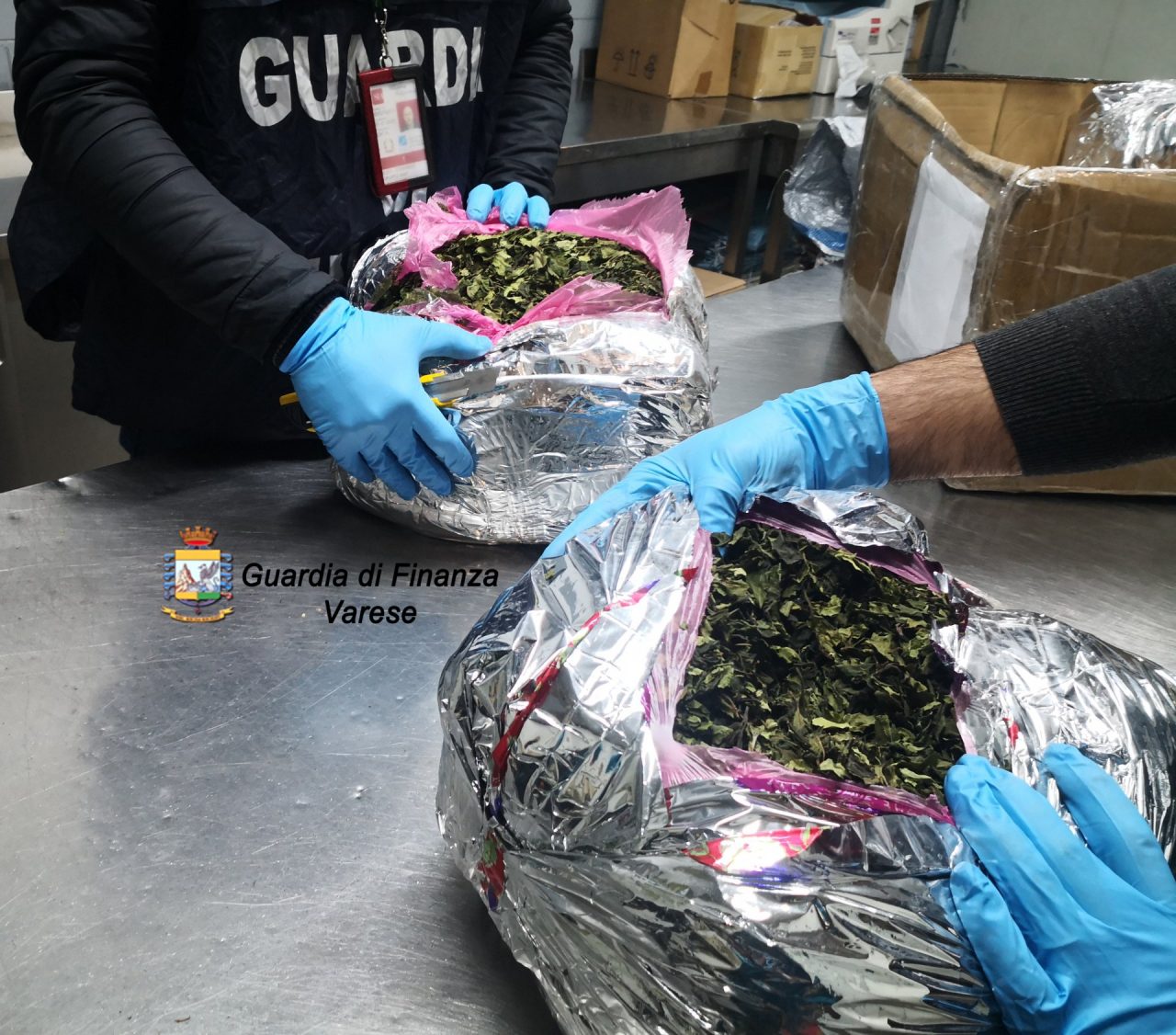 traffico di droga a malpensa operazione handle with care