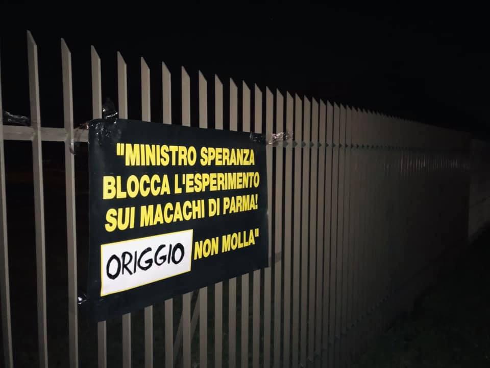 “Macachi liberi!”: manifesti degli animalisti anche a Origgio