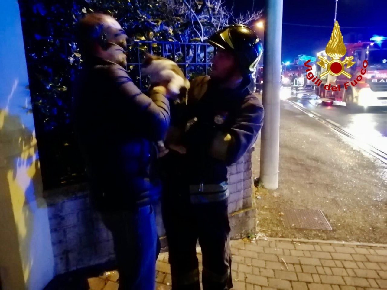 Incendio a Venegono, fiamme sconfitte. Salvato anche il micio di casa