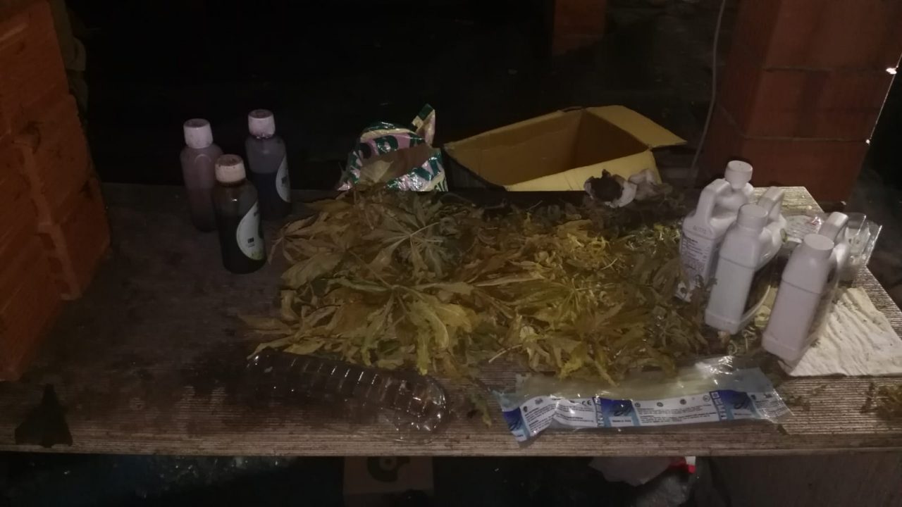 Coltiva marijuana per spacciarla: 30enne denunciato
