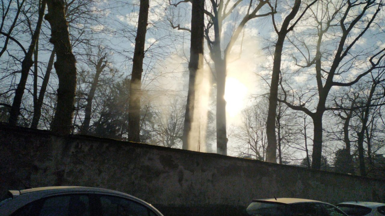 Sterpaglie in fiamme a Legnano