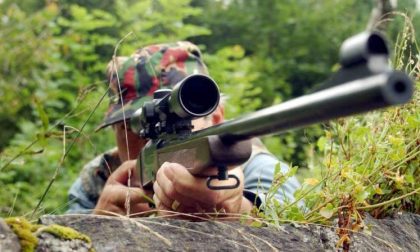 Uccide un capriolo nei boschi del Varesotto: arrestato un bracconiere