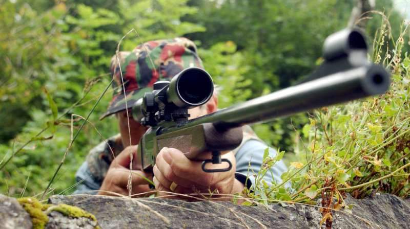 Uccide un capriolo nei boschi del Varesotto: arrestato un bracconiere